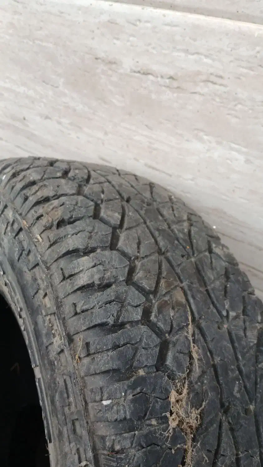 لاستیک پاترول|قطعات یدکی و لوازم جانبی|رشت, شهرک احمد خمینی|دیوار