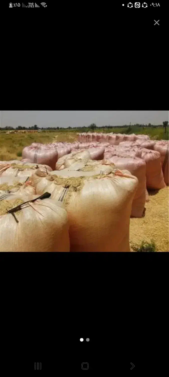 کاه فروش|لوازم جانبی حیوانات|باغستان, |دیوار