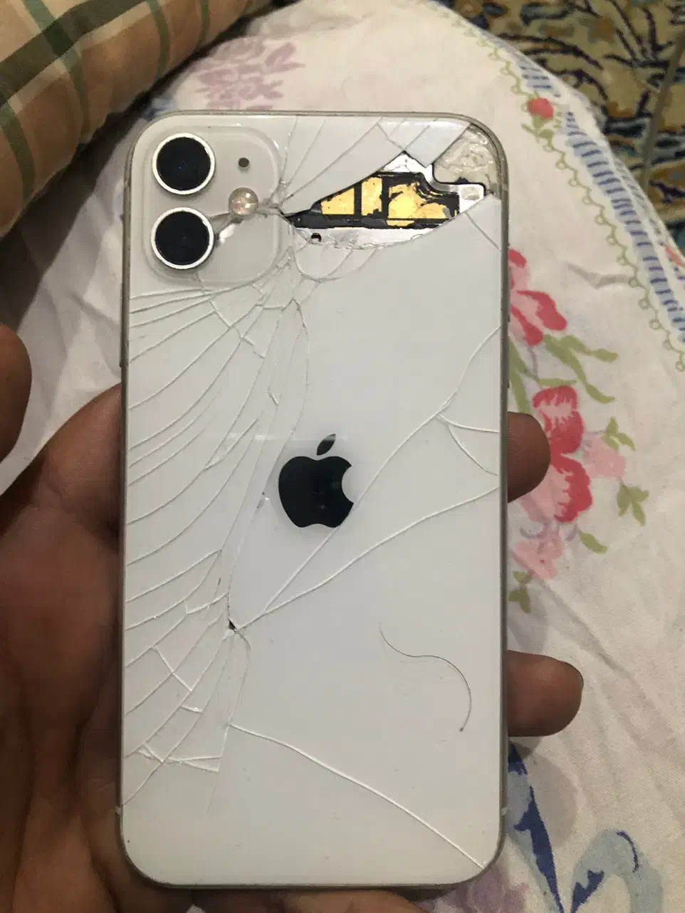 ایفون 11 نرمال|موبایل|اصفهان, شفق|دیوار