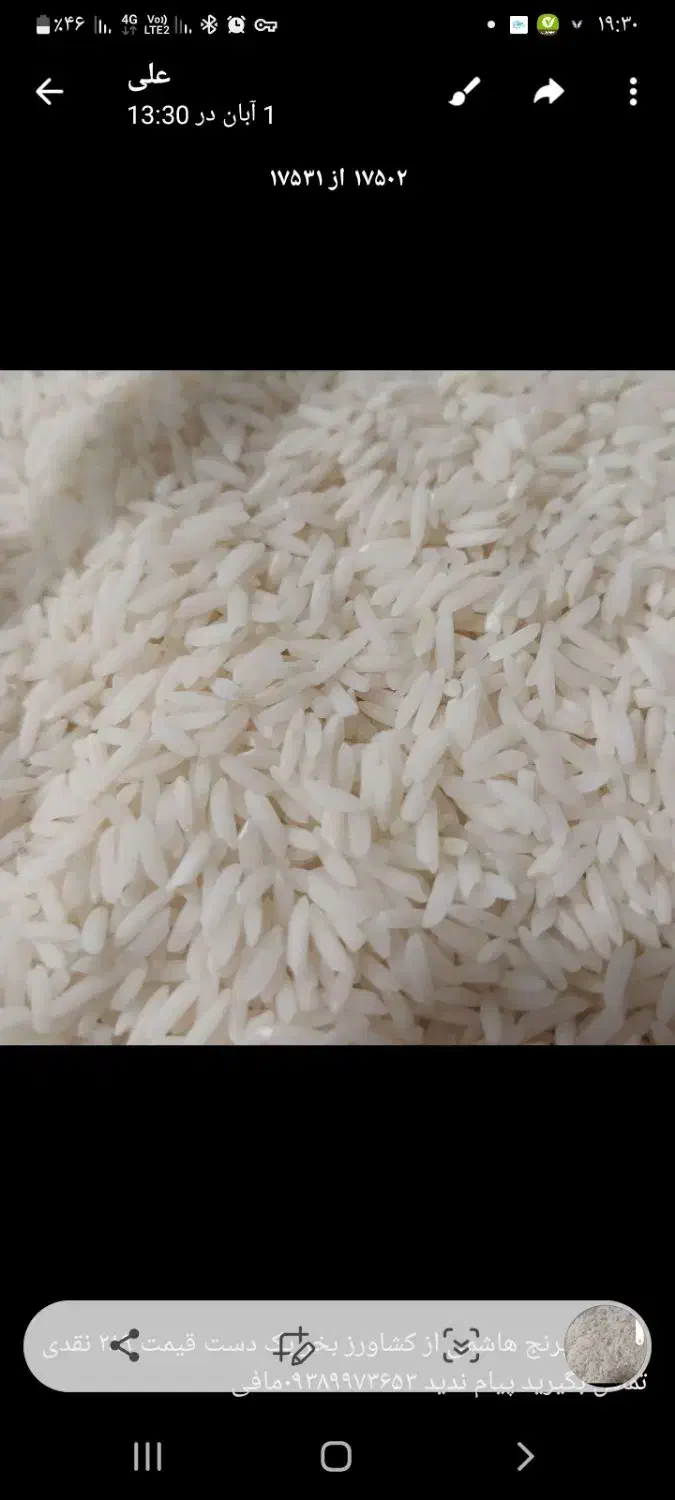 با سلام برنج هاشمی در زیباشهر منزل|خوردنی و آشامیدنی|محمدیه-قزوین, |دیوار