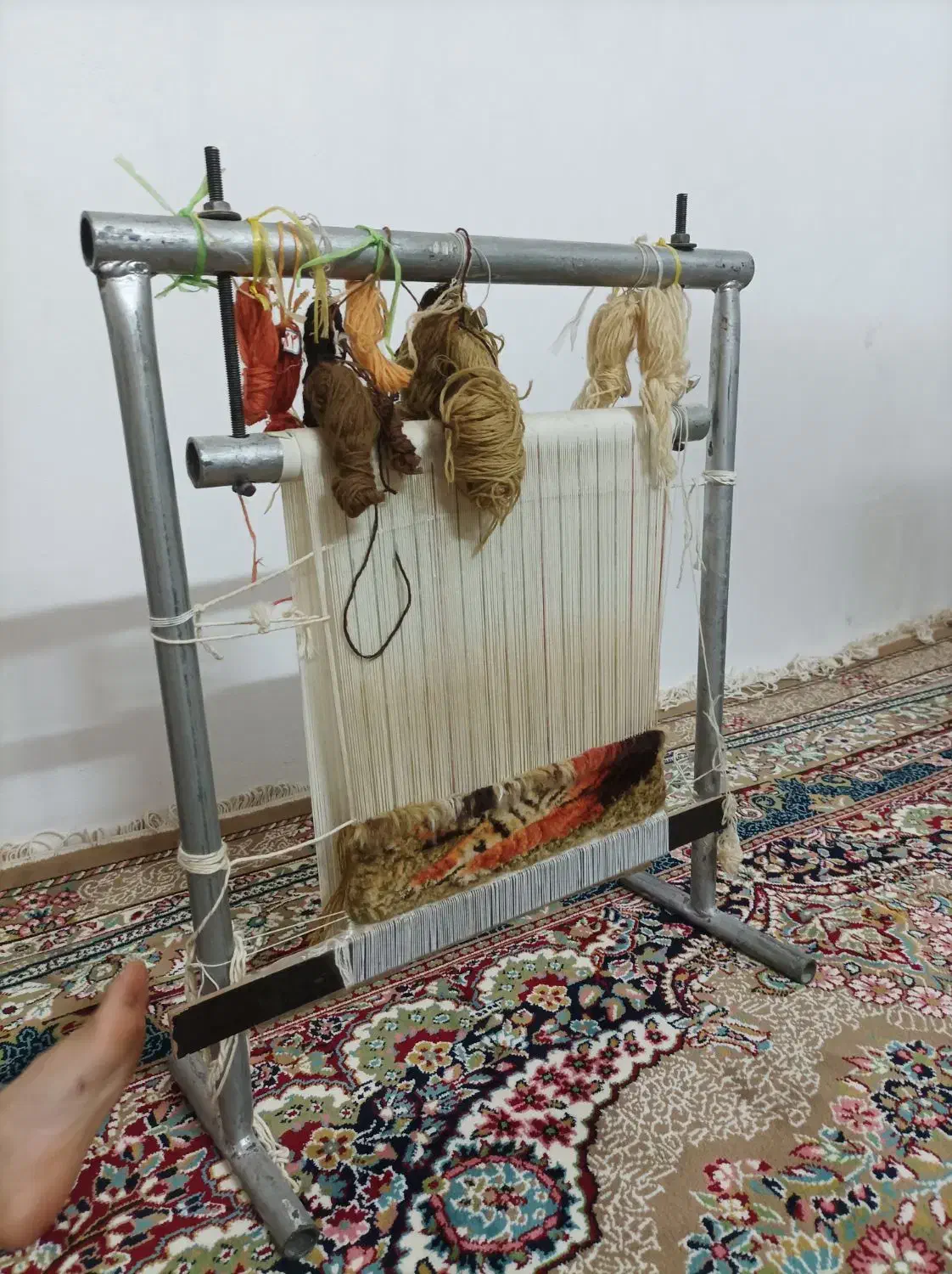 دارفرش|فرش|بروجرد, |دیوار