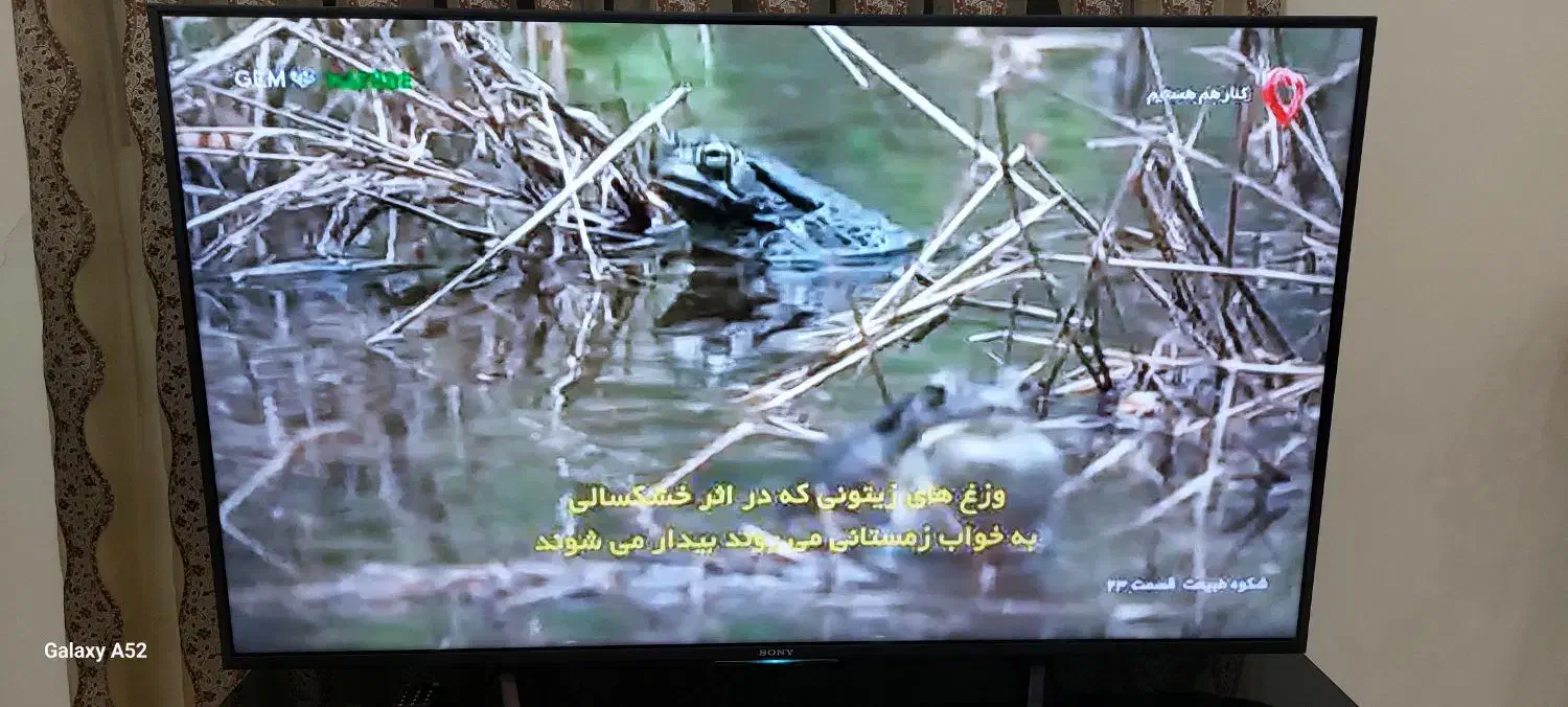 تلوزیون ال ای دی ۵۵اینچ سونی اصل مالزی|تلویزیون و پروژکتور|پرند, فاز ۴|دیوار