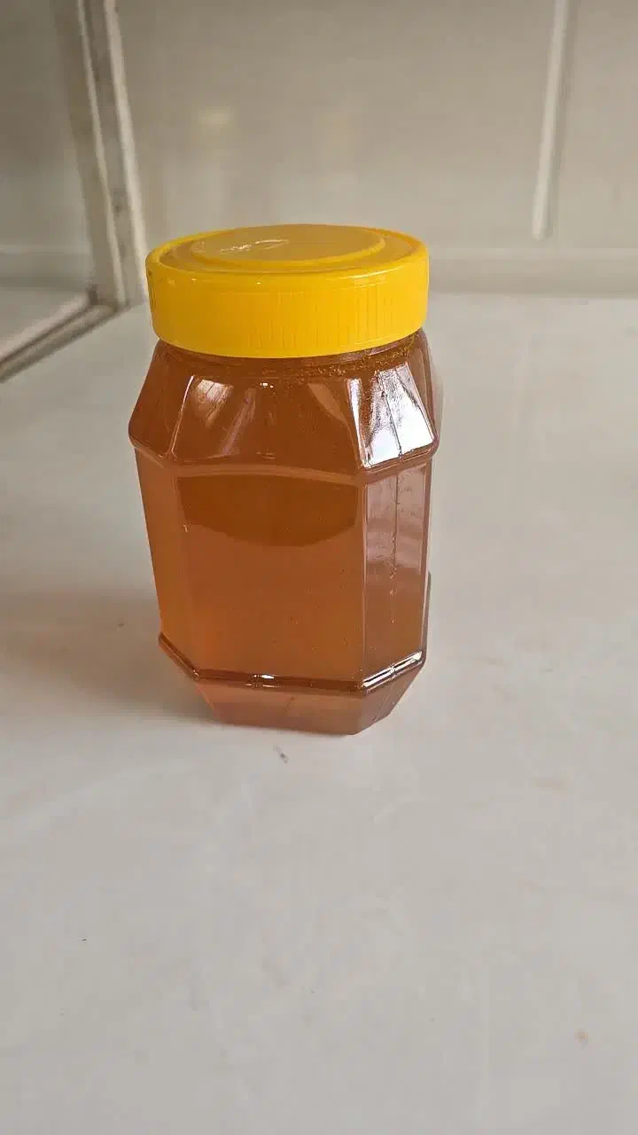 عسل خالص طبیعی و محصولات طبیعی|خوردنی و آشامیدنی|قم, بنیاد|دیوار