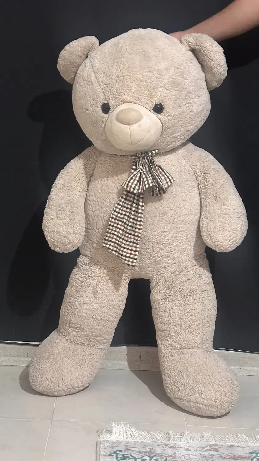 عروسک خرسی|اسباب‌‌بازی|رباط‌کریم, رباط‌کریم|دیوار