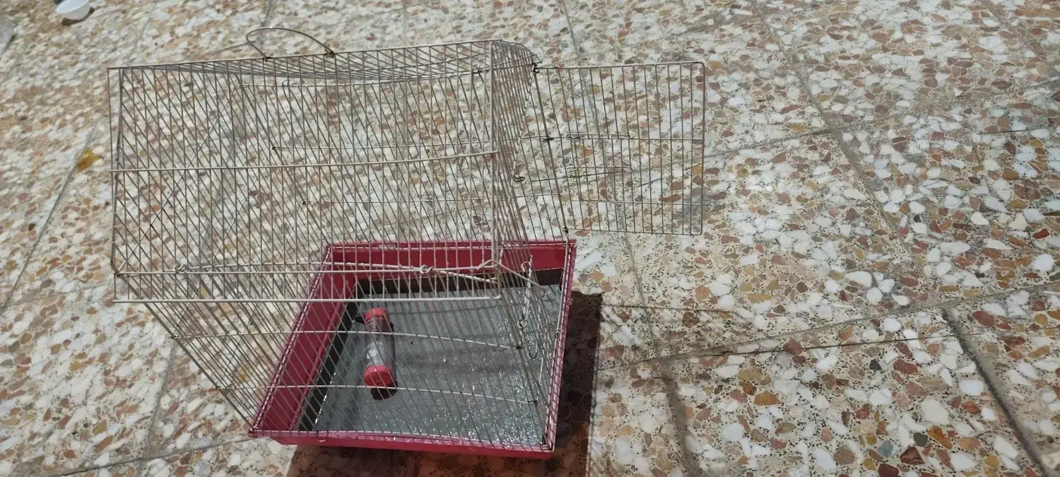 قفس|لوازم جانبی حیوانات|اندیمشک, |دیوار