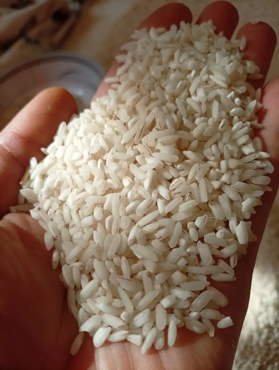 برنج هاشمی سرلاشه|خوردنی و آشامیدنی|رشت, شهریاران|دیوار