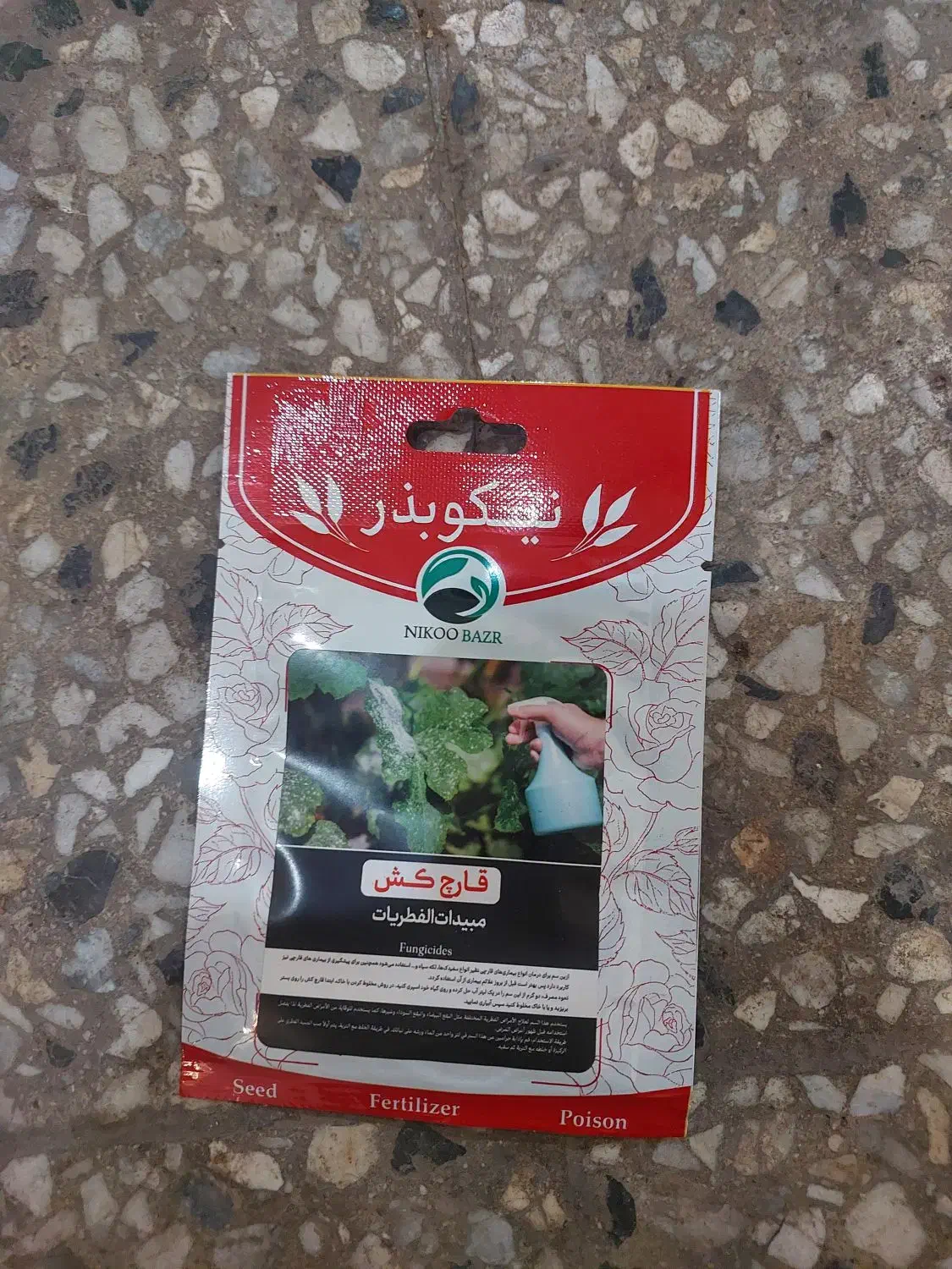 انواع گل گلدان|گل و گیاه طبیعی|شوش, |دیوار