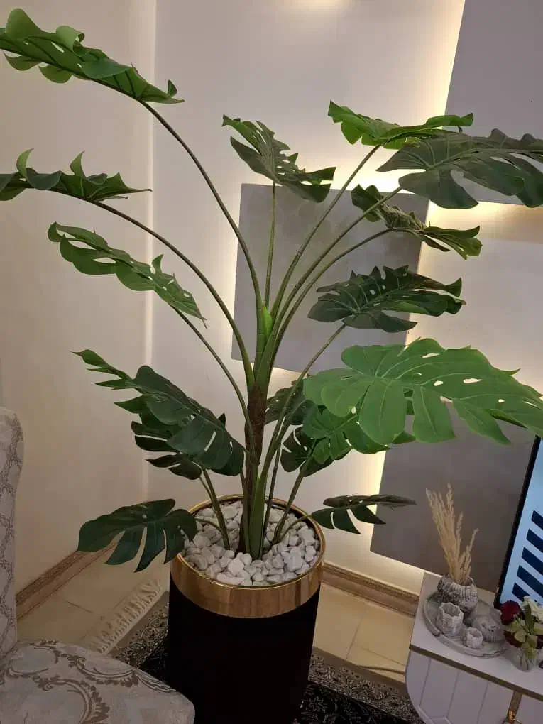 گلدان و گل مصنوعی موندگار تااخر عمر|گل و گیاه طبیعی|شیراز, نصر|دیوار