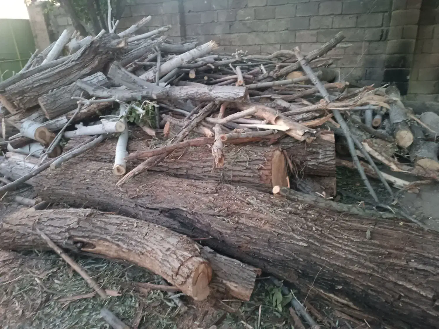 خرید انواع چوب|خدمات باغبانی و درختکاری|کنگاور, |دیوار