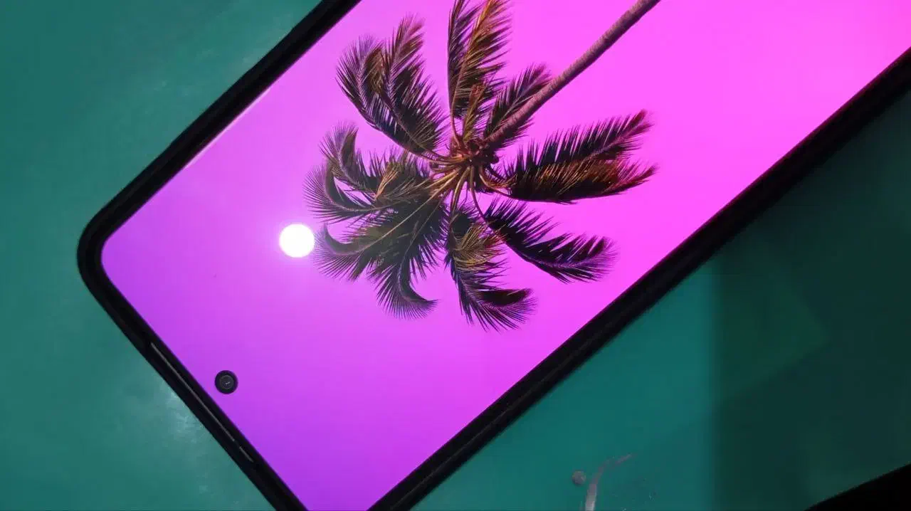 S21 fe 5G|موبایل|تبریز, |دیوار