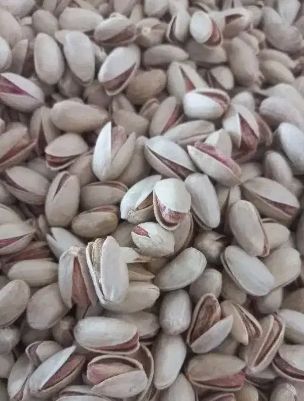 پسته|خوردنی و آشامیدنی|تهران, امانیه|دیوار