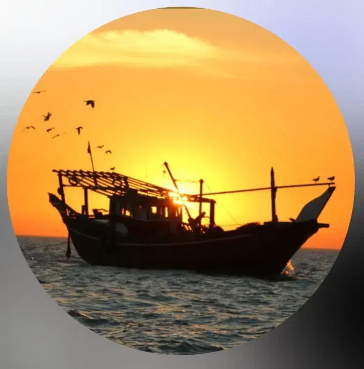 بازرگانی هندیجان|سایر لوازم برقی|بندر ماهشهر, |دیوار