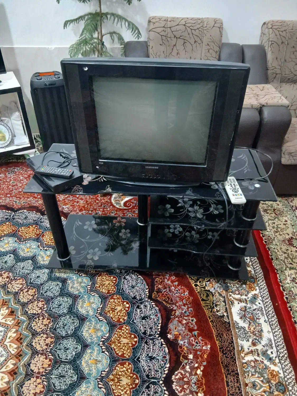 تلویزیون|تلویزیون و پروژکتور|سبزوار, کهنه آب|دیوار