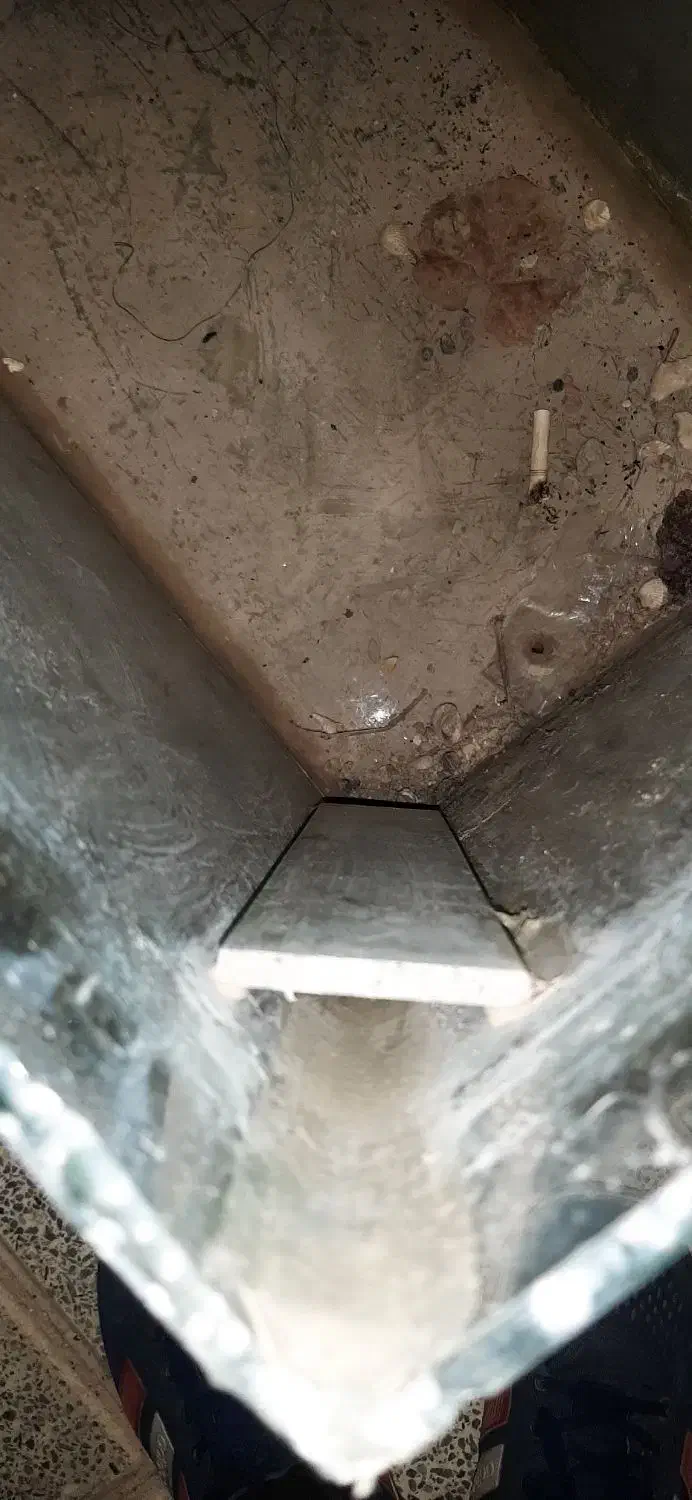 اکواریوم|ماهی|نجف‌آباد, یزدانشهر|دیوار