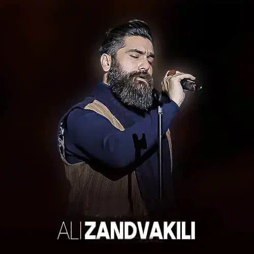 ۴عدد بلیت کنسرت علی زندوکیلی|بلیت کنسرت|شهرضا, |دیوار