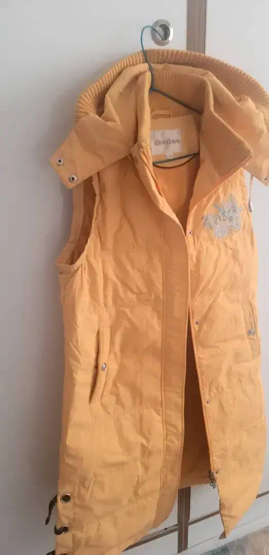 ۲ مدل هودی و۲ مدل پافر نو|لباس|قزوین, |دیوار