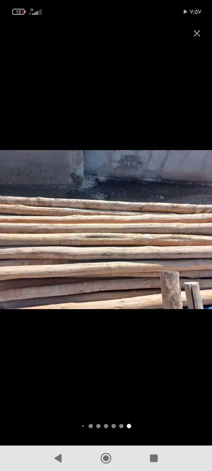 خریدار چوب|خدمات باغبانی و درختکاری|لاران, |دیوار