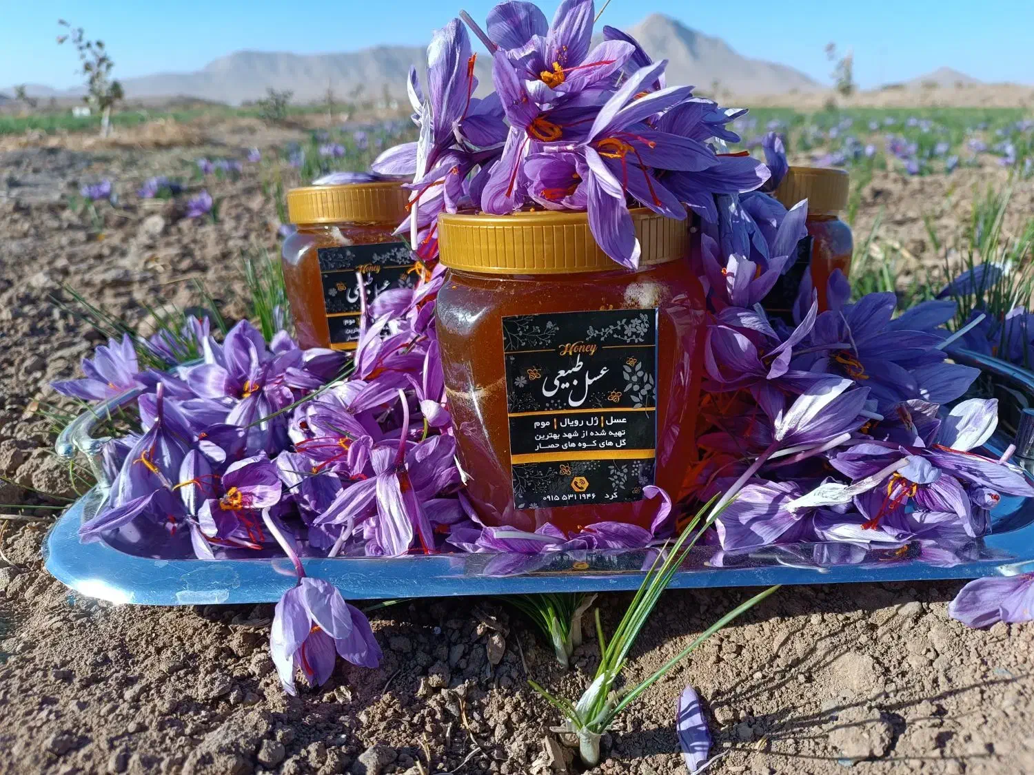 عسل زعفران صد درصد طبیعی|خوردنی و آشامیدنی|تهران, توحید|دیوار