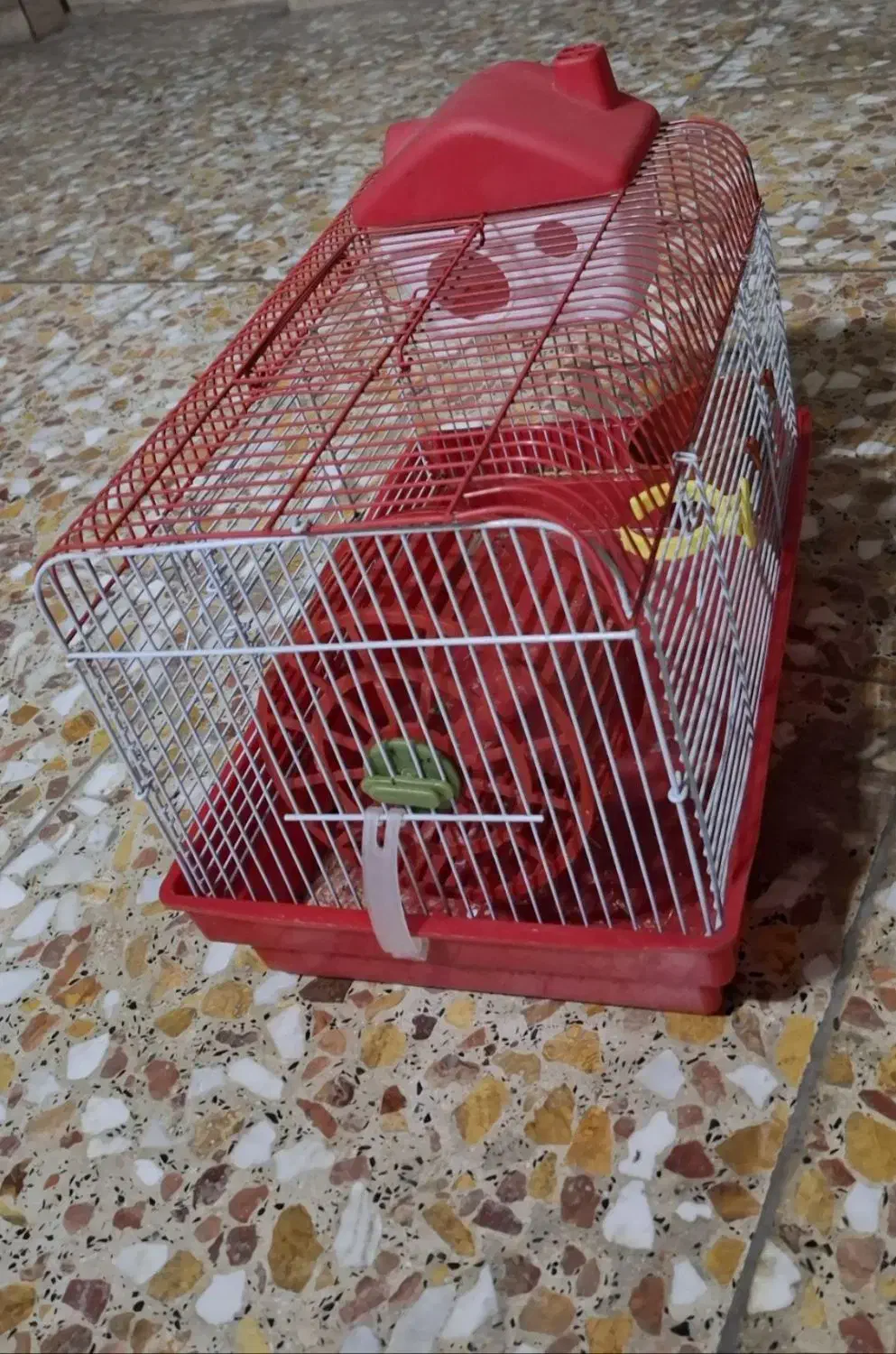 قفس پرنده و همستر|لوازم جانبی حیوانات|لاهیجان, کوی آزادگان|دیوار