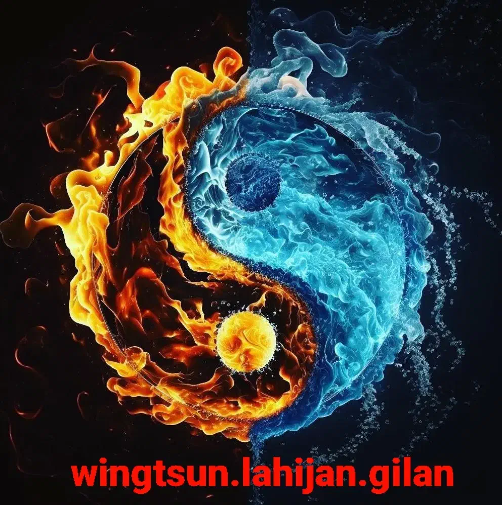 آموزش هنر رزمی وینگ چون|خدمات آموزشی|لاهیجان, امیرشهید|دیوار