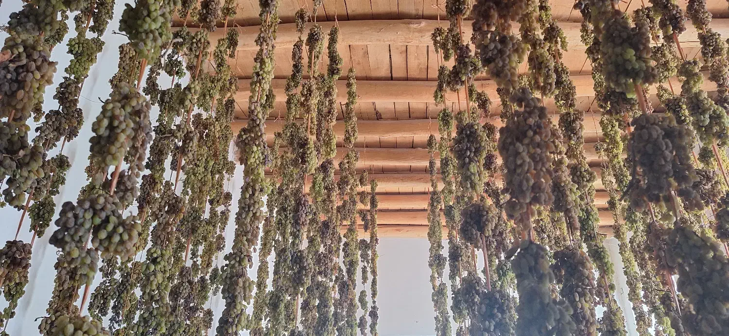 کشمش سایه خشک|خوردنی و آشامیدنی|ملایر, |دیوار