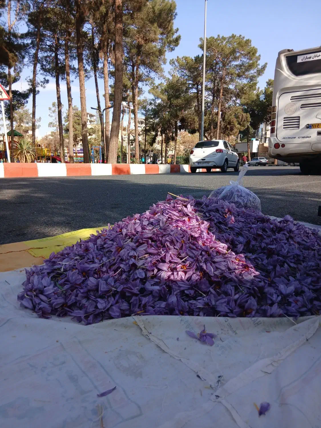 زعفران تازه عیار بالا|خوردنی و آشامیدنی|سبزوار, فیاض|دیوار