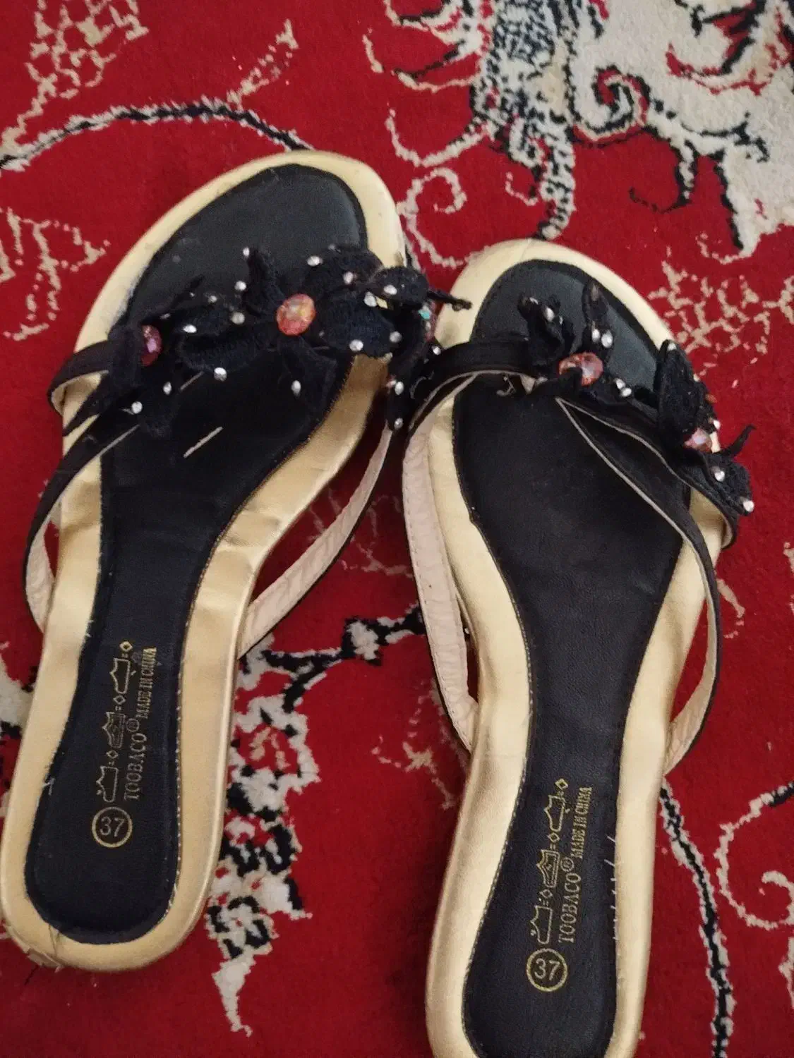 دمپایی مجلسی|کیف، کفش، کمربند|زنجان, |دیوار