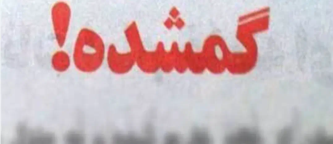 گمشده .یک عدد کیف زنانه حاوی عینک و دارو گم شده|کیف، کفش، کمربند|چناران, |دیوار