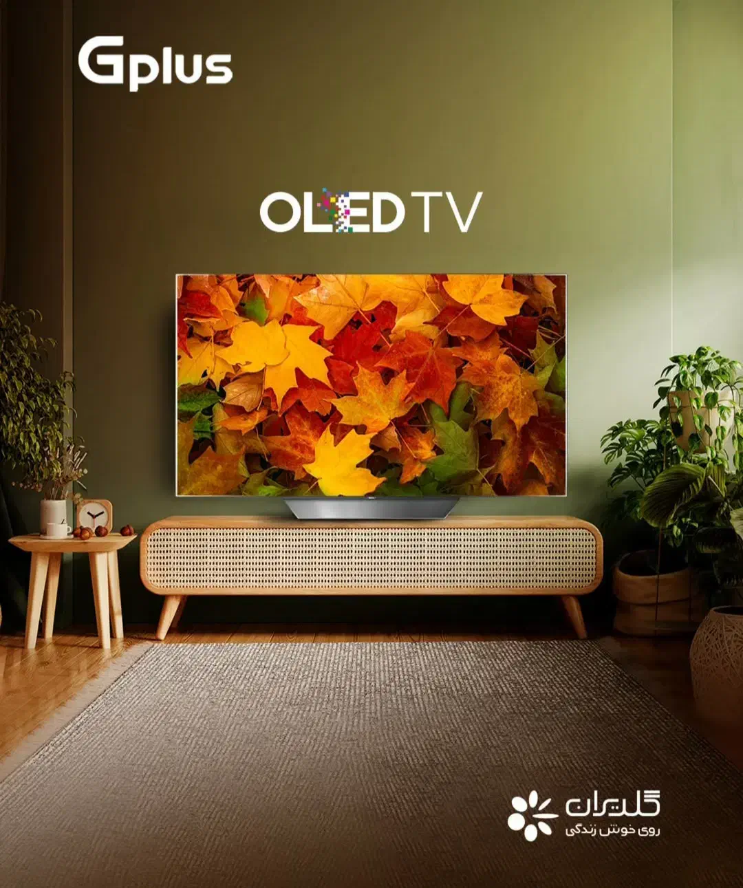 فروش ویژه تلویزیون جی پلاس بدون پیش پرداخت|تلویزیون و پروژکتور|قزوین, |دیوار