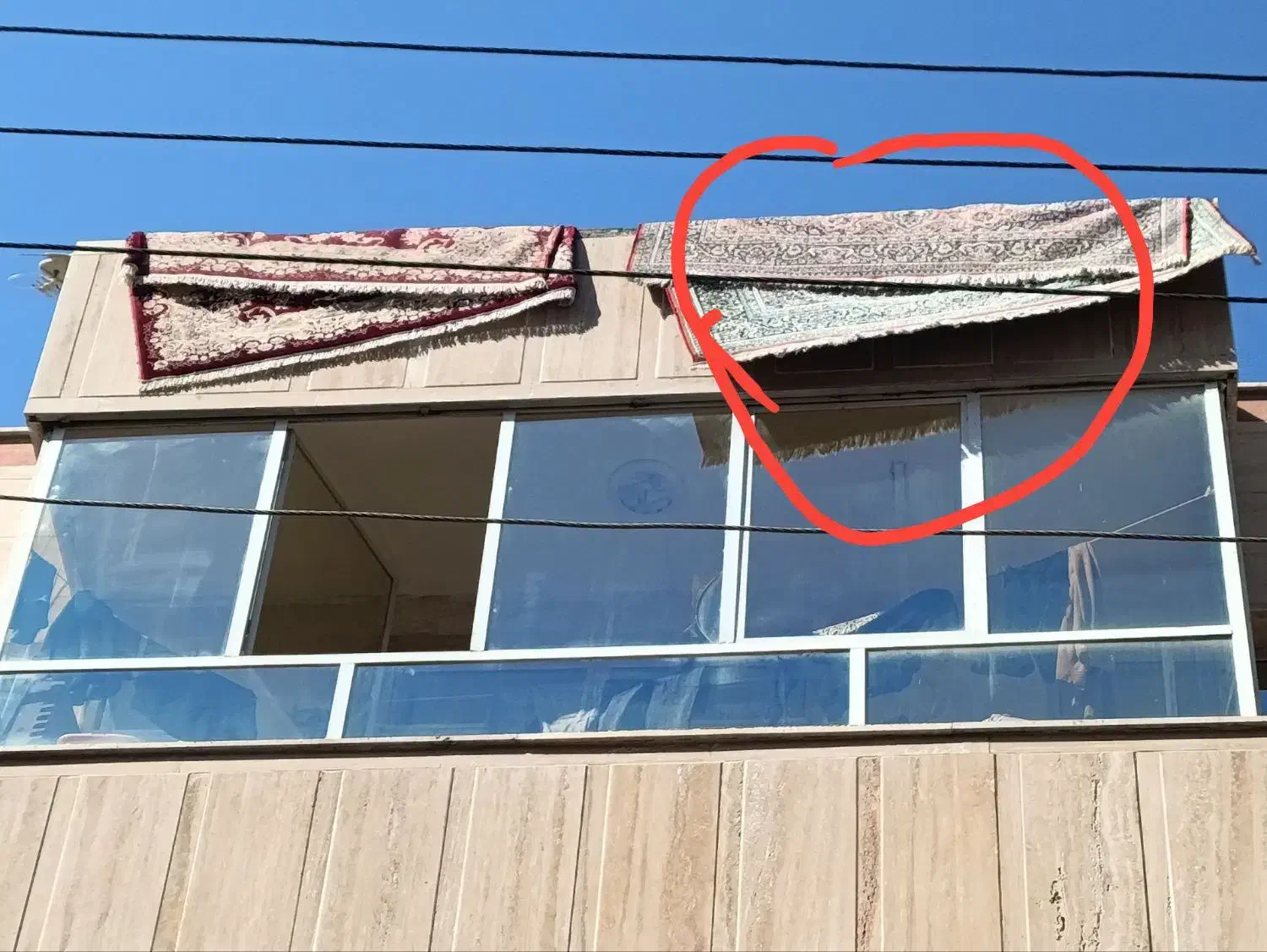 فرش و گلدان|فرش|اردبیل, |دیوار