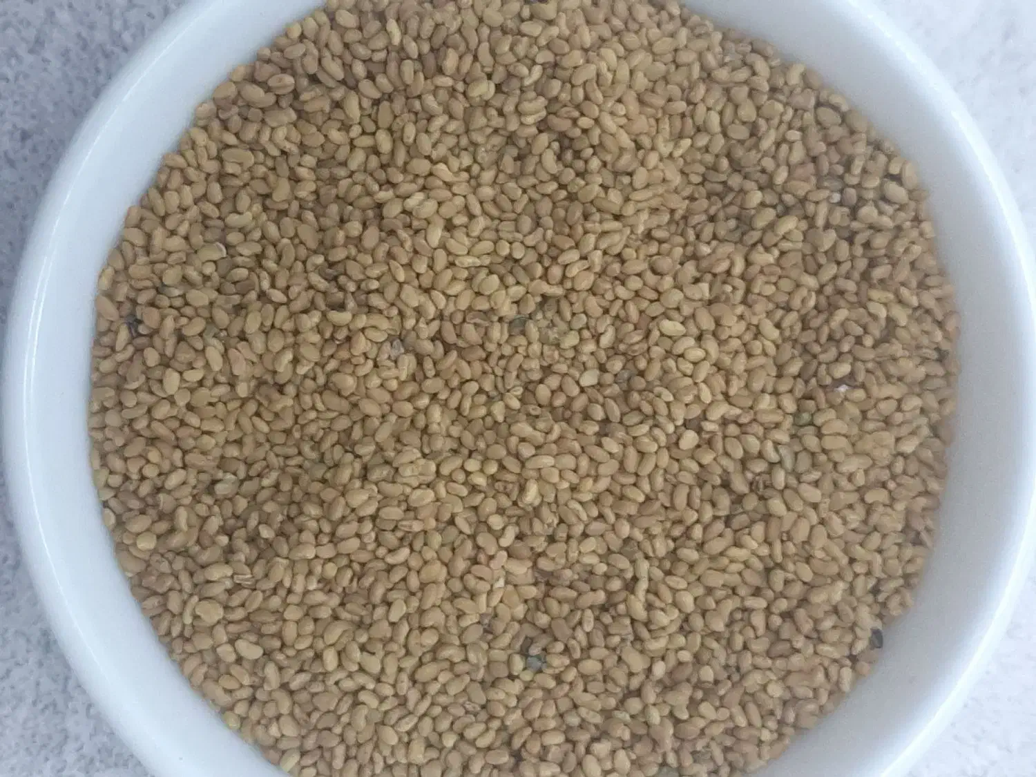 تخم یونجه|خدمات باغبانی و درختکاری|هریس, |دیوار