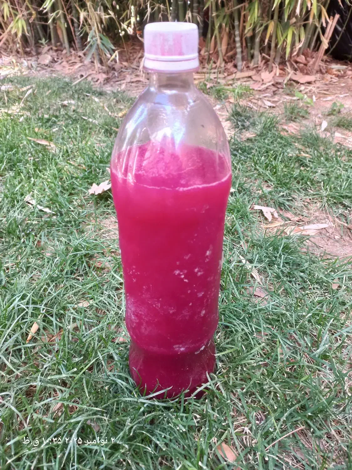 آب انار|خوردنی و آشامیدنی|شیراز, میرزاکوچک خان|دیوار