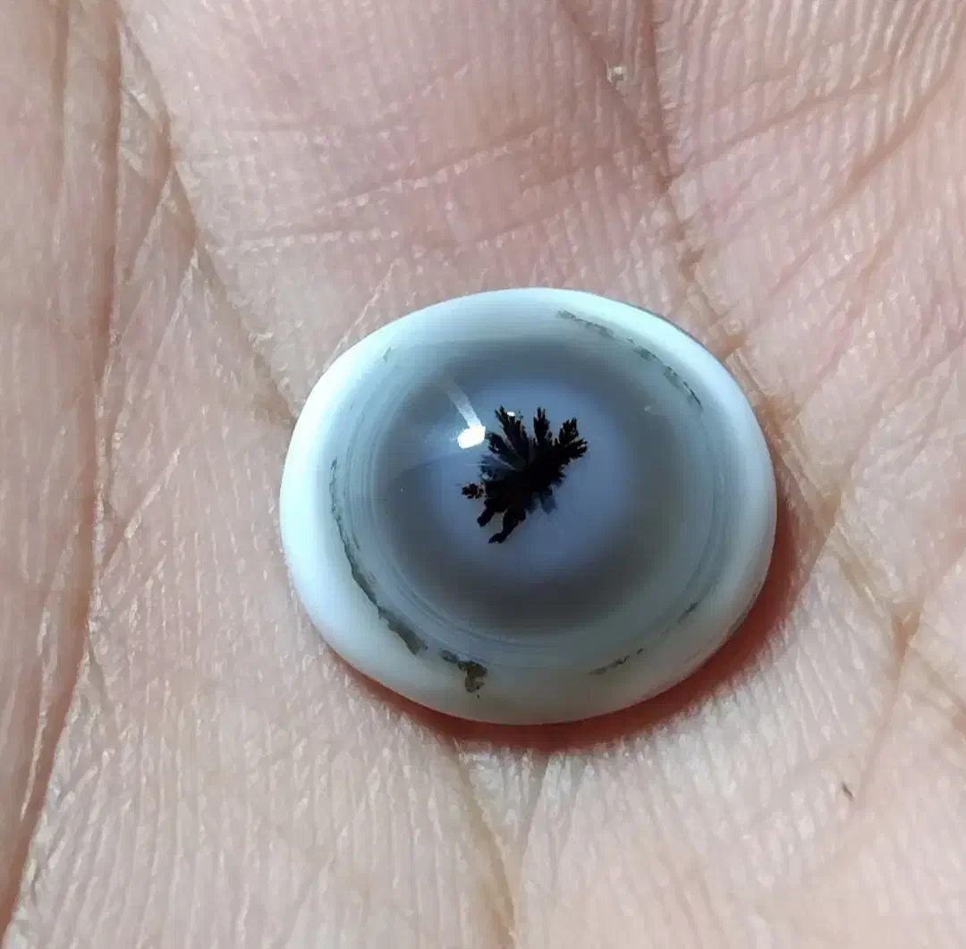 سنگ شجر|جواهرات|اراک, |دیوار