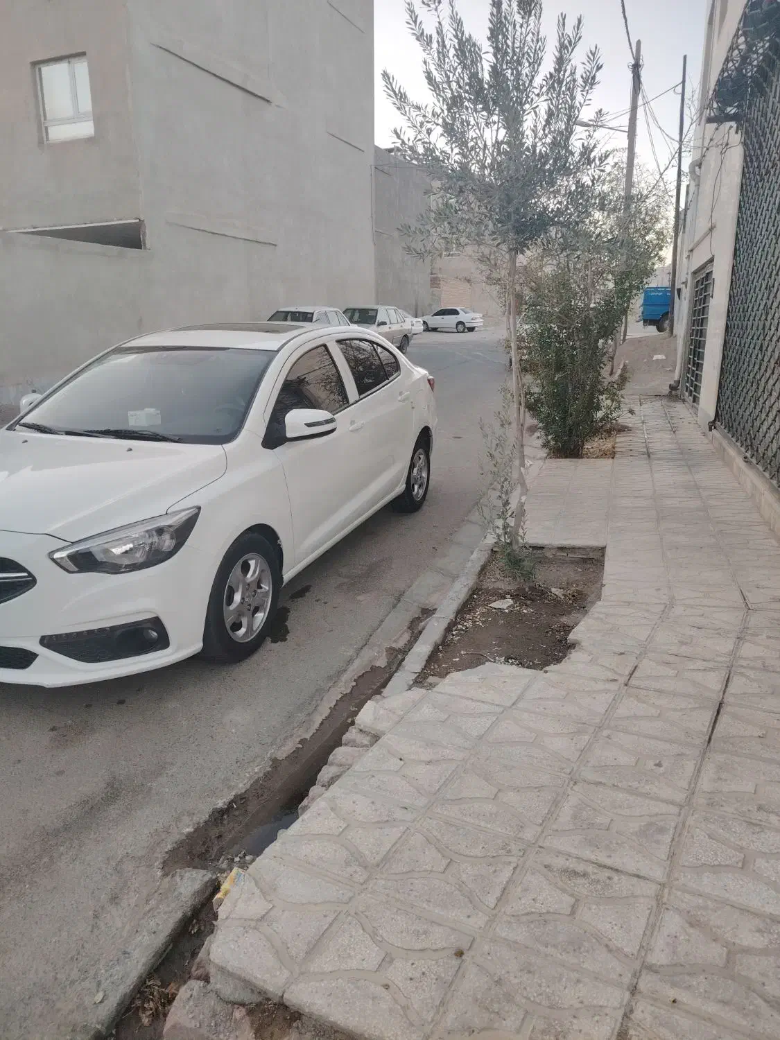 شاهین مدل 1400|خودرو سواری و وانت|بیرجند, |دیوار