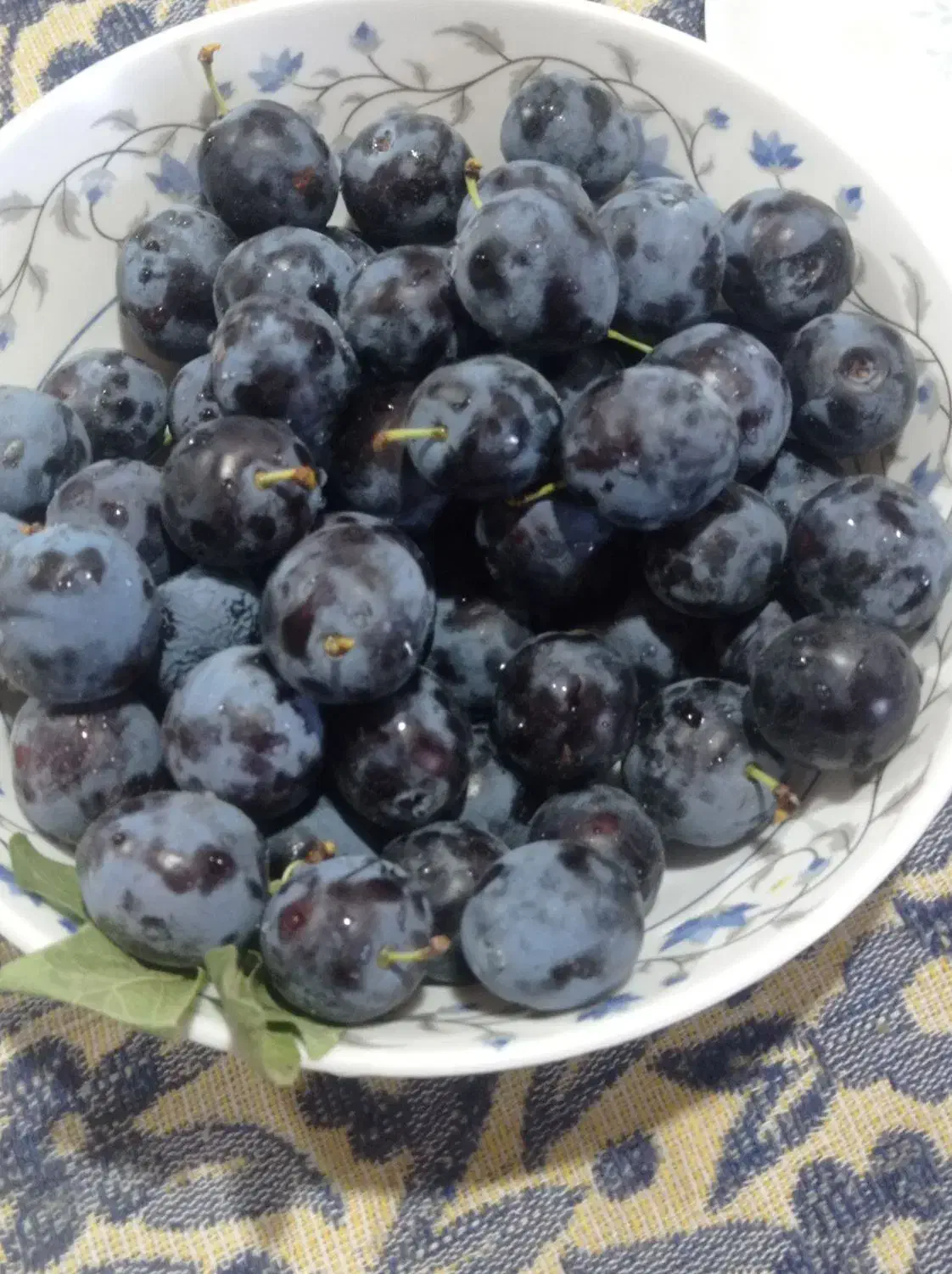 آلو بخارا|خوردنی و آشامیدنی|زاوه, |دیوار