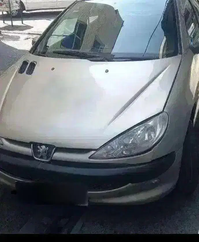 پژو ۲۰۶ تیپ ۲|خودرو سواری و وانت|مرودشت, فرهنگ|دیوار