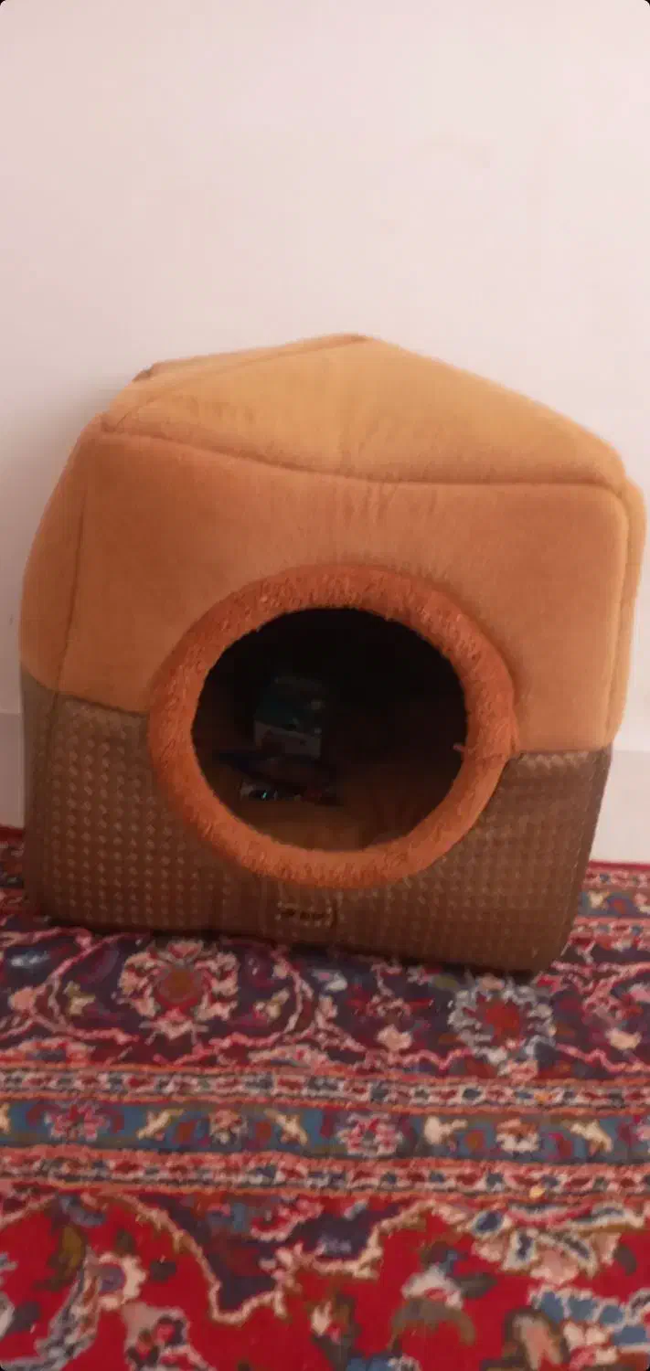 خانه ی گربه نو|لوازم جانبی حیوانات|میانه, |دیوار