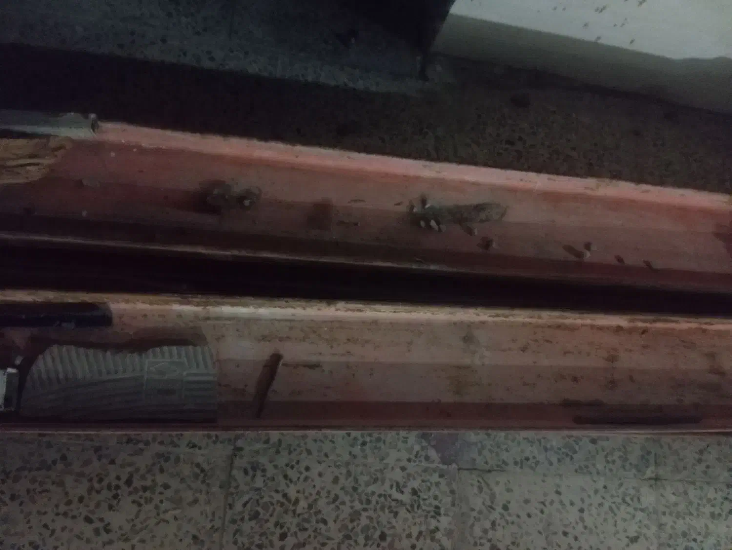 فروش بیم ۱۴|مصالح و تجهیزات ساختمان|آبدانان, |دیوار