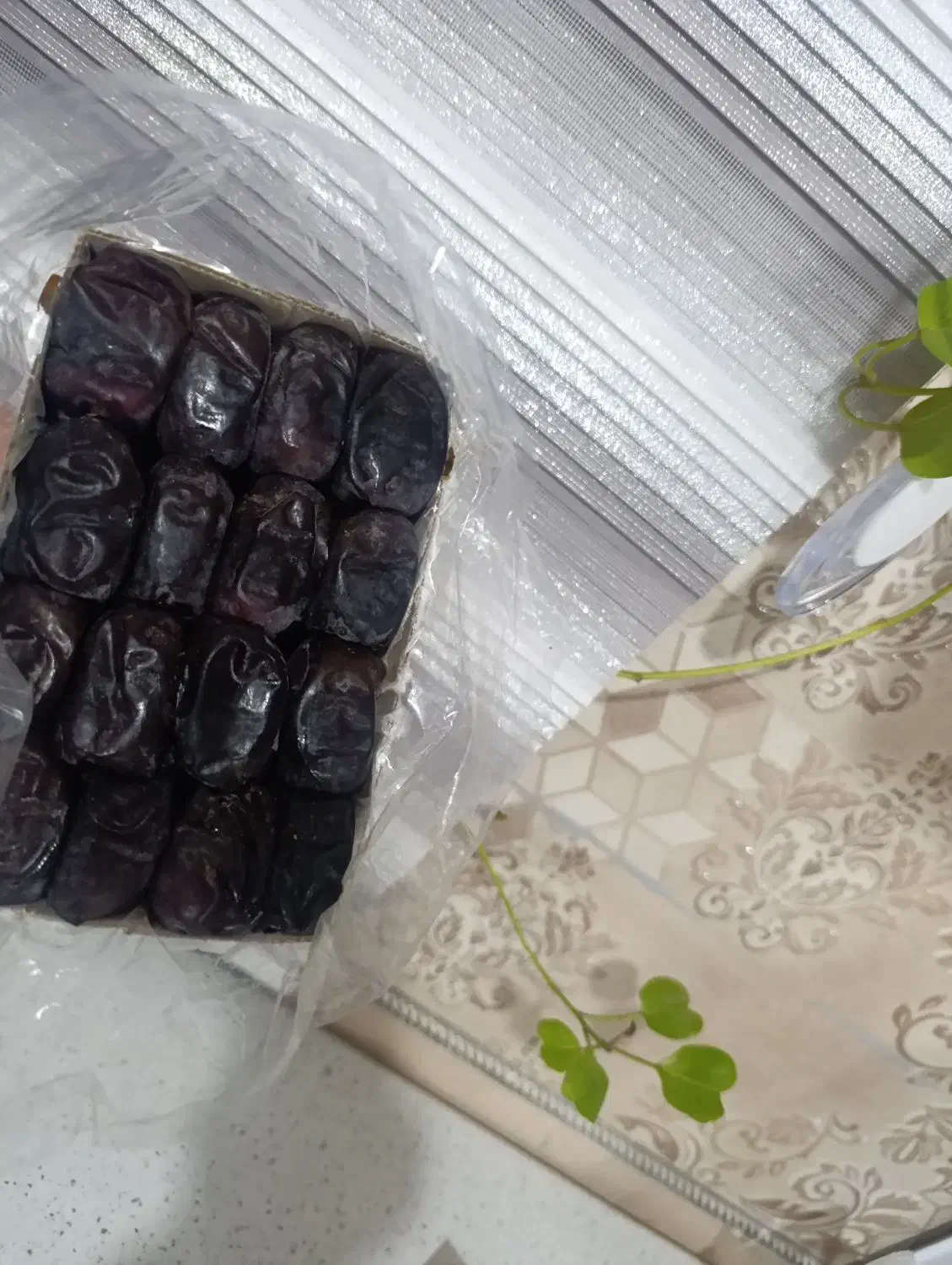 فروش خرمایی مضافتی بم|حراج|بم, |دیوار