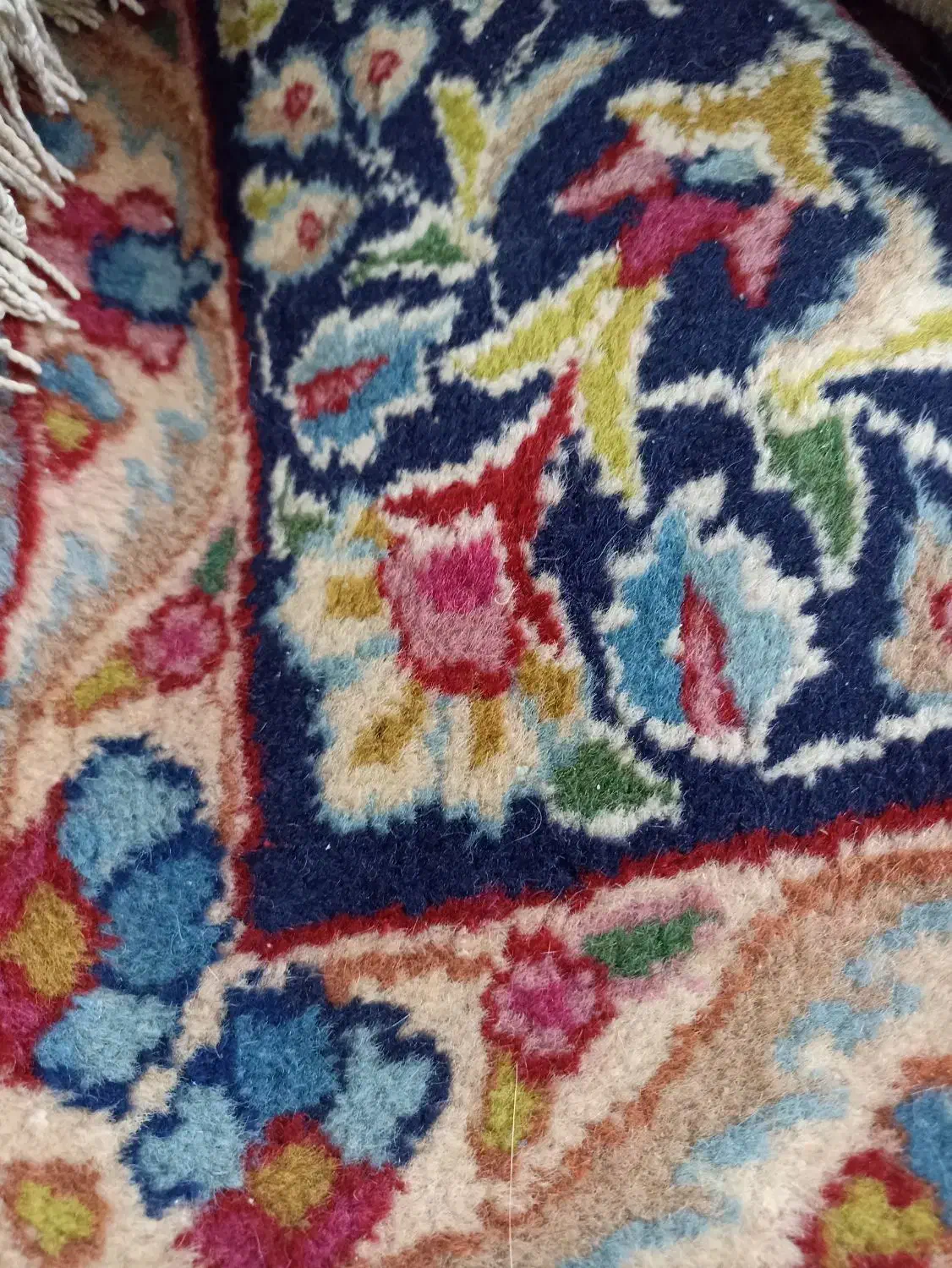 فرش دستبافت|فرش|زاهدان, |دیوار