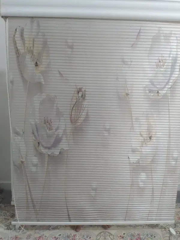 پرده زبراعرض ۱۱۰ قد۱۳۰درحدنو|پرده، رانر، رومیزی|ری, سیزده آبان|دیوار