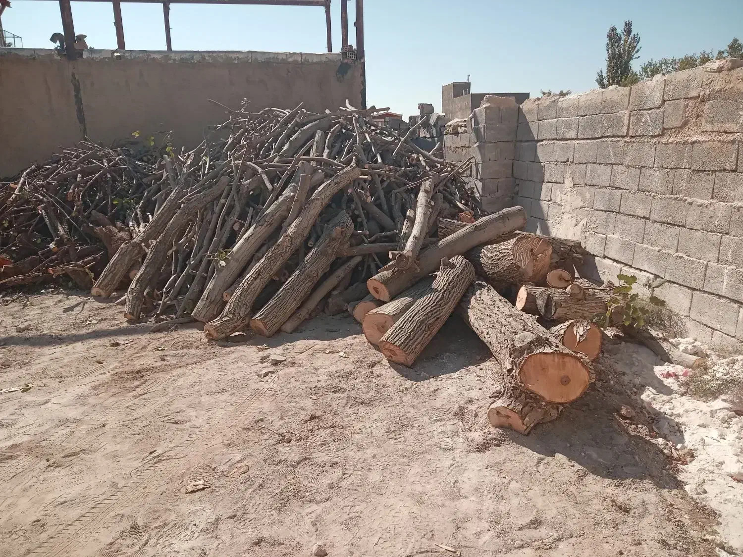 خرید ضایعات چوب|خدمات باغبانی و درختکاری|ملایر, |دیوار