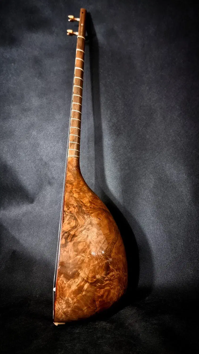 تنبور حرفه ای|سازهای سنتی|کرمانشاه, |دیوار