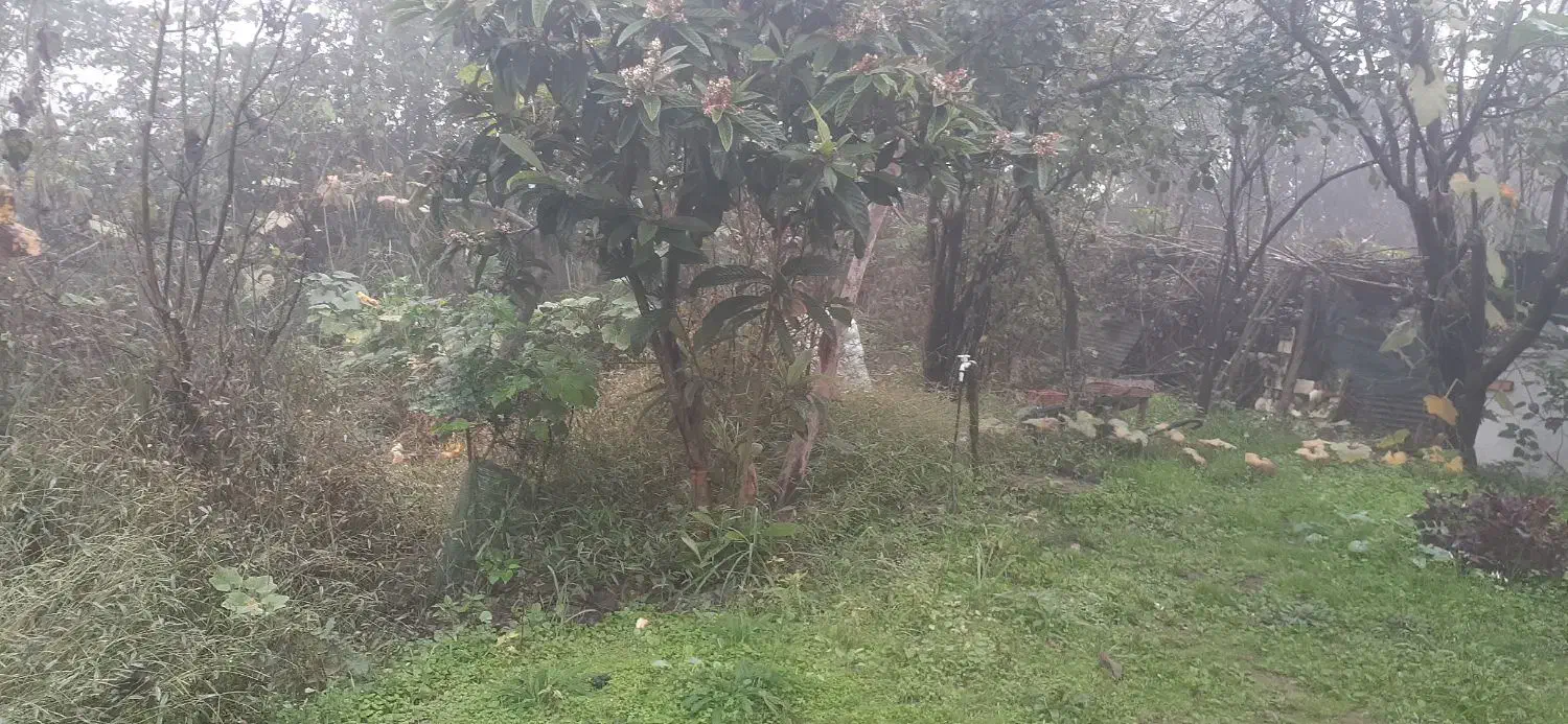 اجاره خانه ویلایی|اجارهٔ خانه و ویلا|رشت, حومه رشت|دیوار