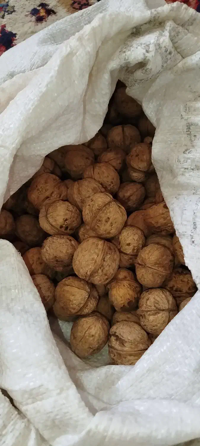 گردو آلوچه تفتاله(قیصی)|خوردنی و آشامیدنی|فولادشهر, مسکن مهر فولادشهر|دیوار