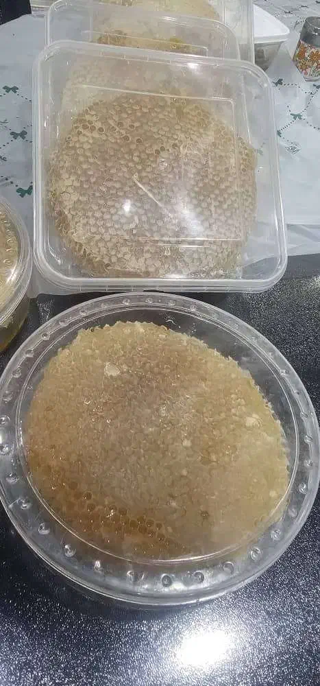 فروش عسل مرغوب درمانی کردستان|عمده‌فروشی|بندر ماهشهر, |دیوار