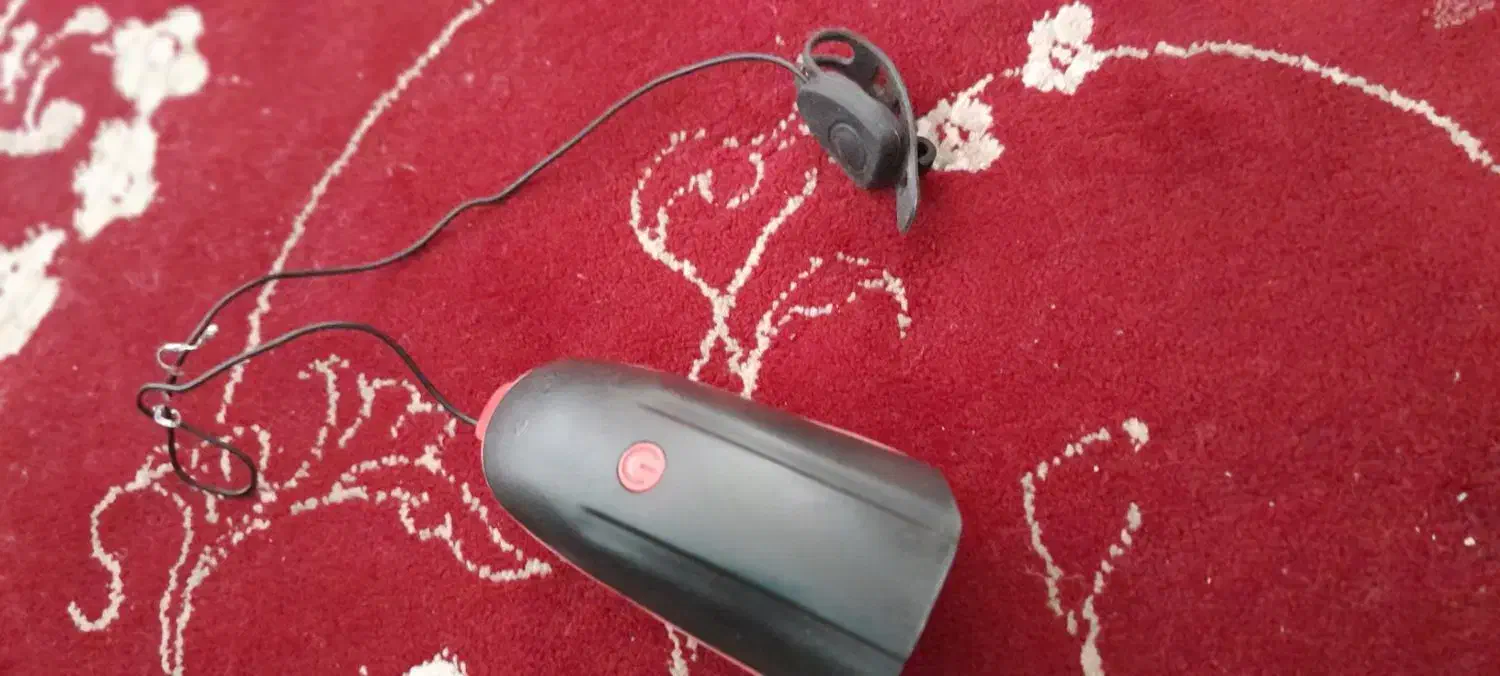 چراغ و بوق دوچرخه|دوچرخه، اسکیت، اسکوتر|تربت جام, والفجر|دیوار