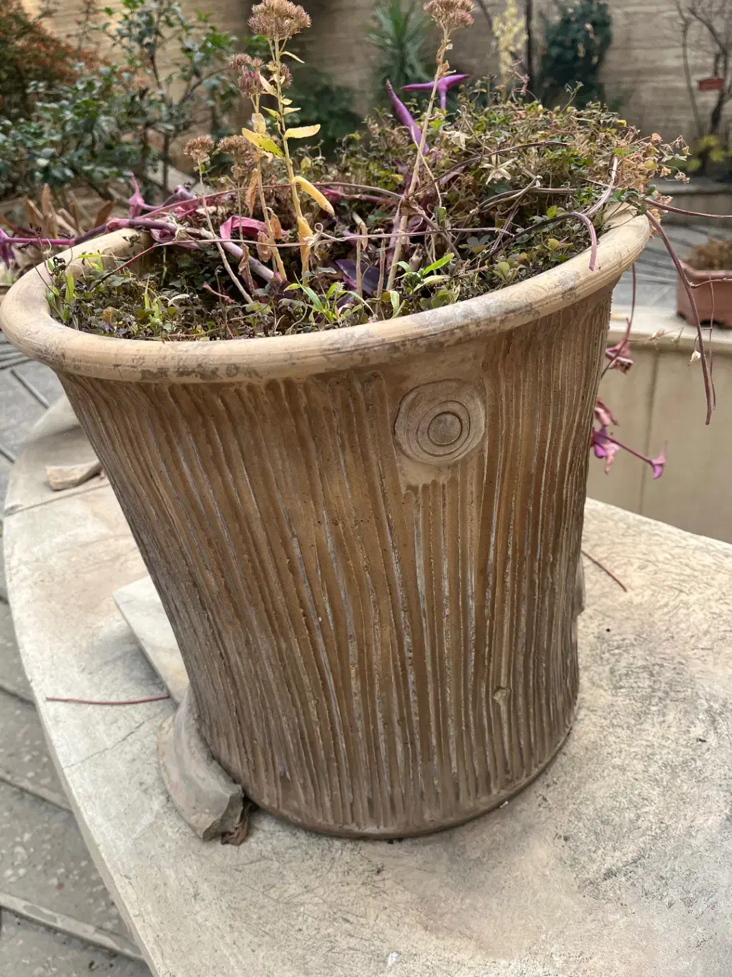 گلدان های سفالی|گل و گیاه طبیعی|تهران, ونک|دیوار