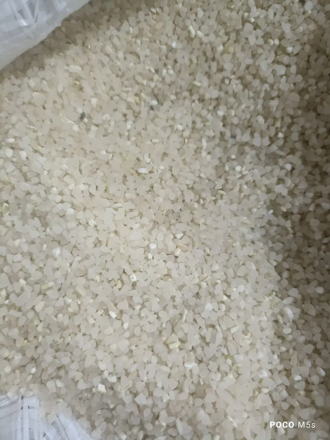 فروش خورده تمیز|خوردنی و آشامیدنی|بانش, |دیوار