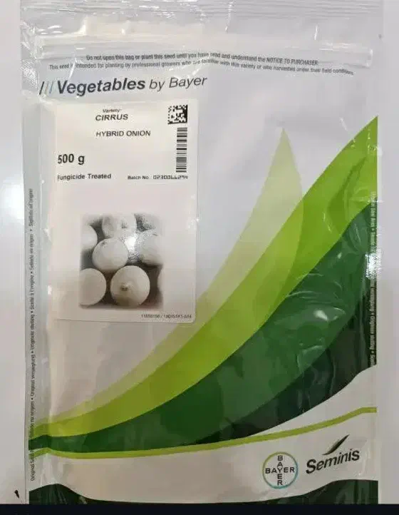 توزیع انواع بذرپیاز گوجه فرنکی هندوانه قیمت تعاونی|خدمات باغبانی و درختکاری|جیرفت, |دیوار